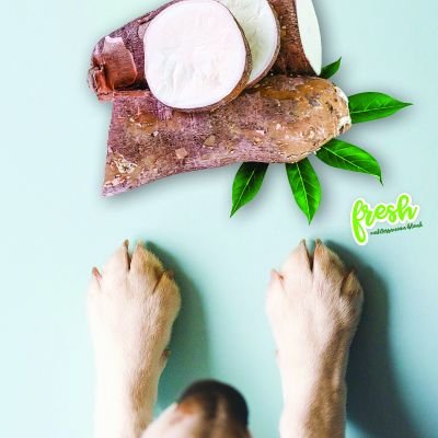 Publicación instagram lanzamiento de producto