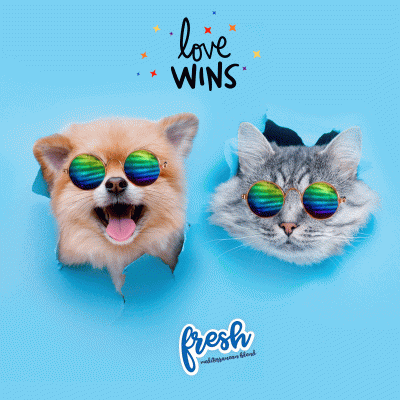 Publicación instagram lanzamiento de producto