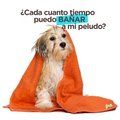 Publicación instagram lanzamiento de producto