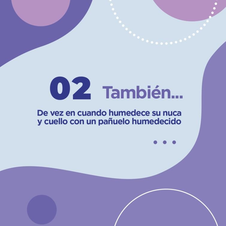 Publicación instagram consejos de cuidado mascotas