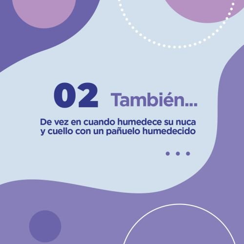 Publicación instagram consejos de cuidado mascotas