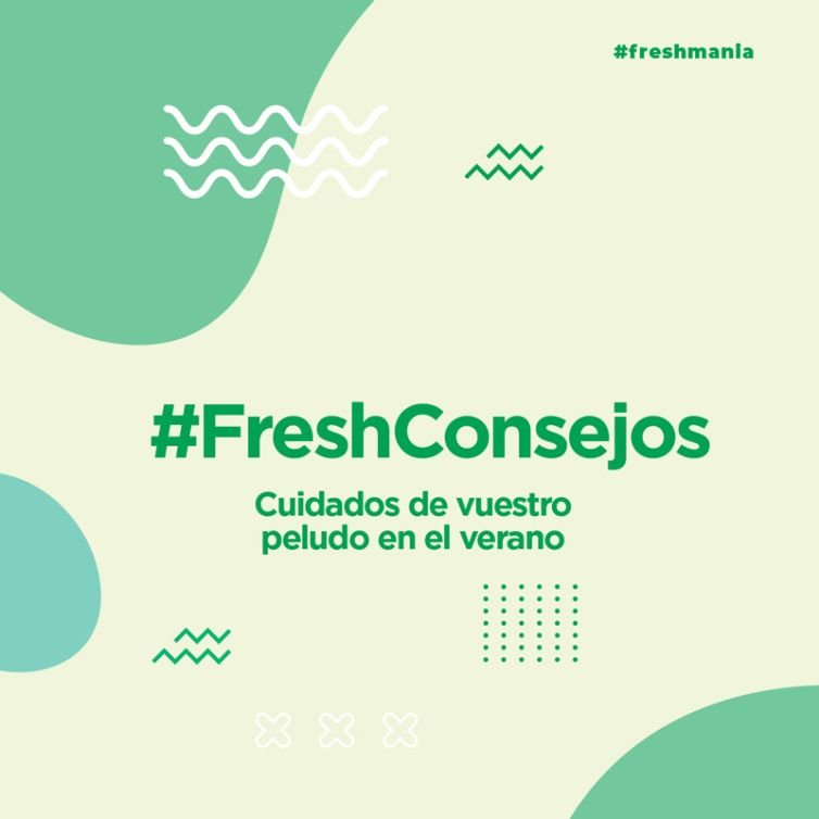 Publicación instagram consejos de cuidado mascotas