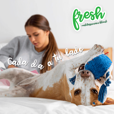 publicaciones de instagram promociones Ecommerce pienso gatos