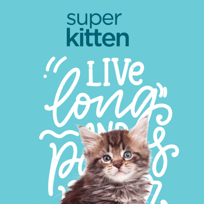 promociones Ecommerce pienso gatos