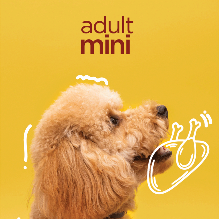 Empresas de servicios a tu medida