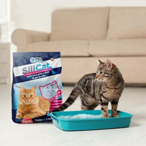 agencia creativa publicaciones de producto en instagram tienda online