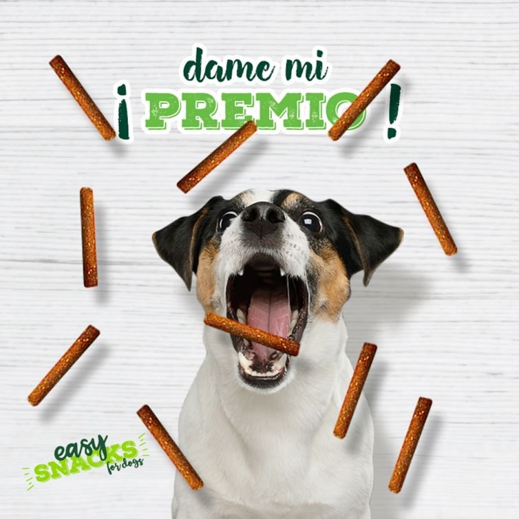 agencia redes sociales gráfico