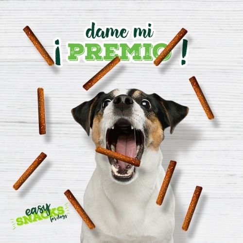 agencia redes sociales gráfico