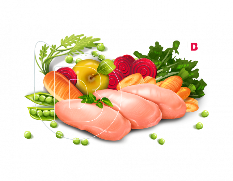 portafolio de ilustraciones ilustradores madrid de producto