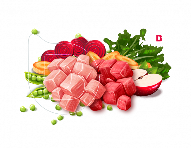 portafolio de ilustraciones ilustradores madrid de producto