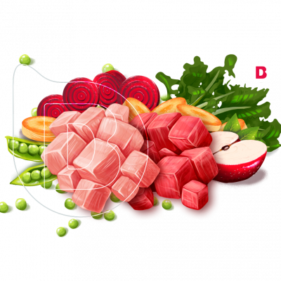 portafolio de ilustraciones ilustradores madrid de producto