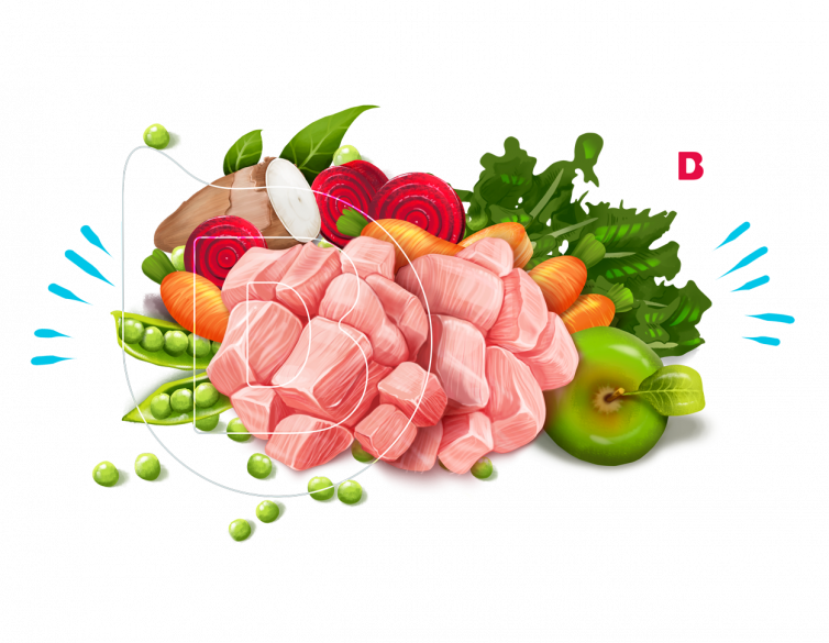 portafolio de ilustraciones ilustradores madrid de producto