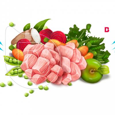 portafolio de ilustraciones ilustradores madrid de producto