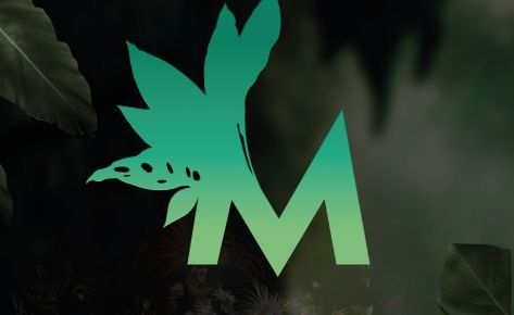 La historia alternativa del diseño de la web del Musical de Malinche