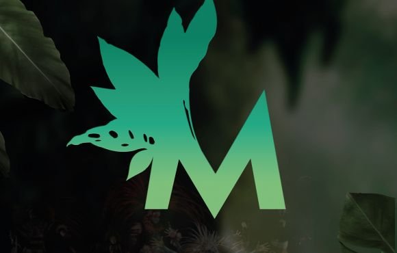 La historia alternativa del diseño de la web del Musical de Malinche