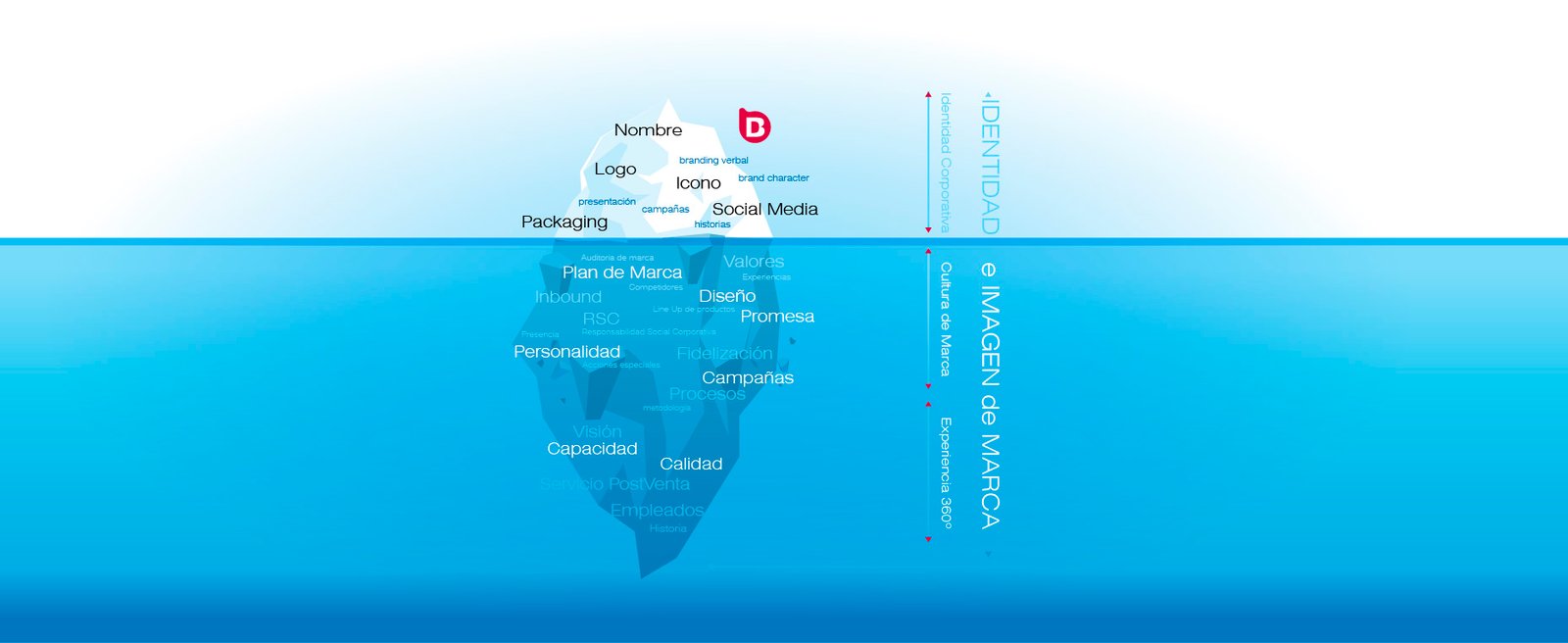 Identidad corporativa e imagen de marca infografia branding