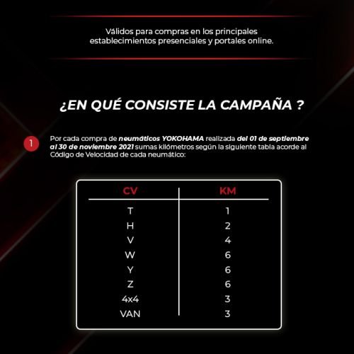 Campaña de email marketing yokohama diseñado para la agencia de marketing LVS2