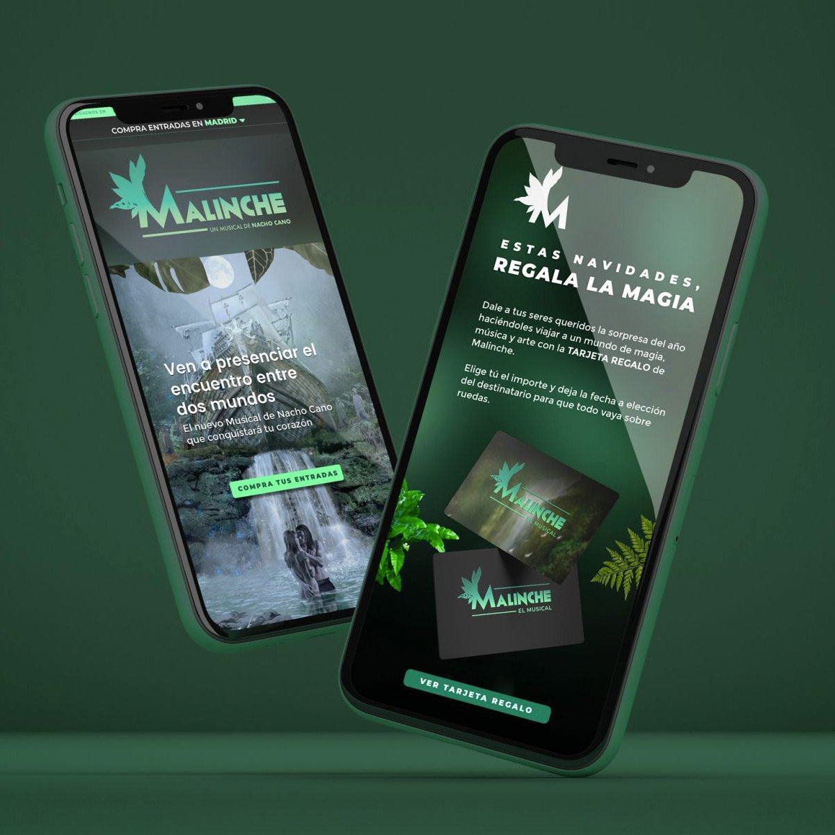 agencia de diseño web portafolio creativo paginas web responsive