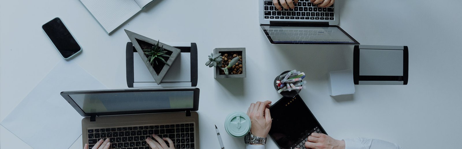 proveedor de servicios gráficos de confianza