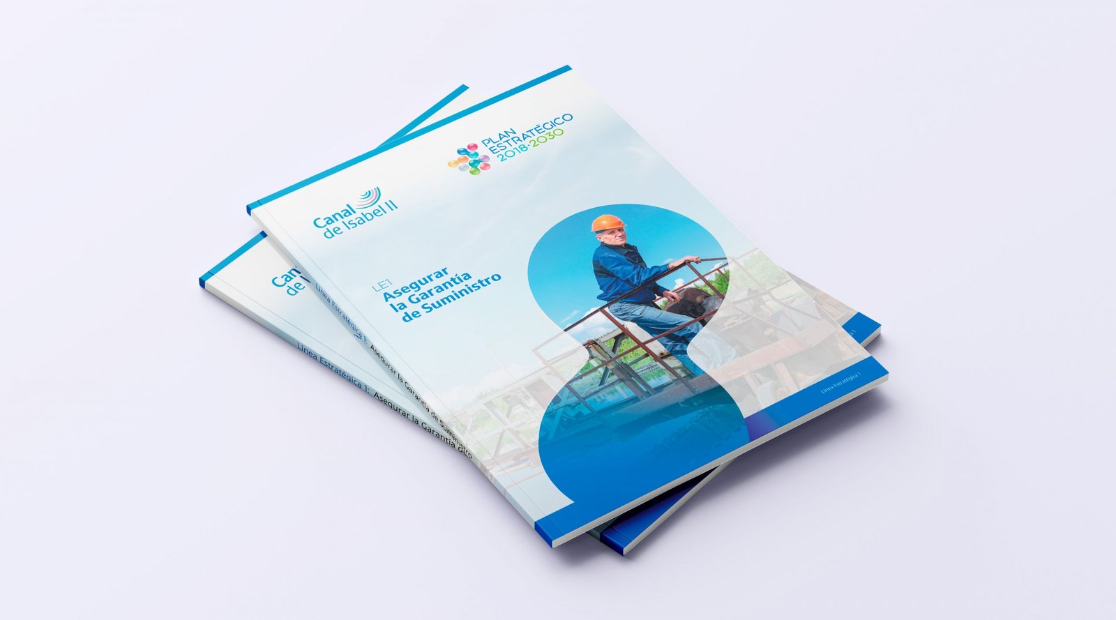 Manual de identidad corporativa Manual de objetivos de desarrollo sostenible