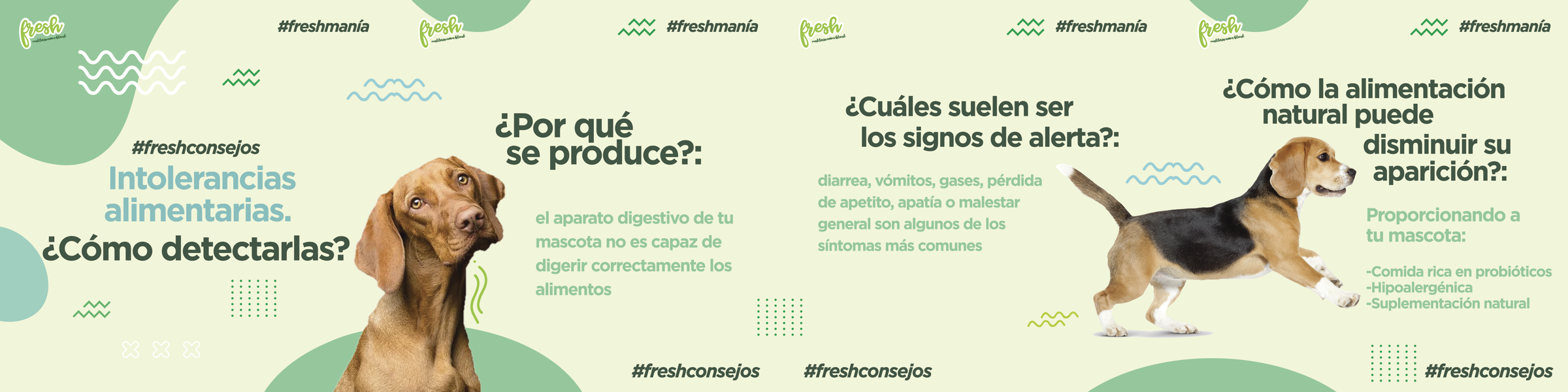 infografia alimentación y cuidados de tu mascota