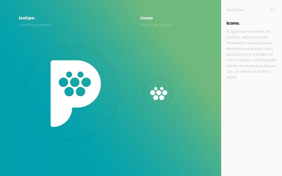 ejemplos y portafolio de branding