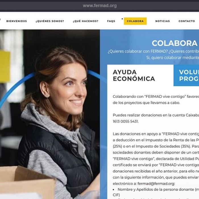 diseno-de-la-pagina-web-corporativa-FERMAD-ong-003