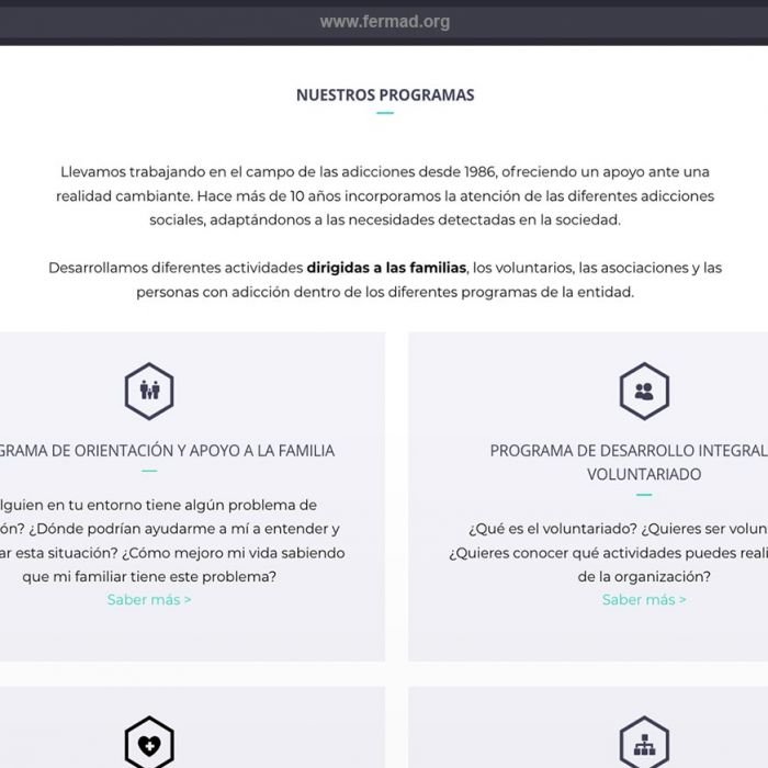 diseno-de-la-pagina-web-corporativa-FERMAD-ong-005