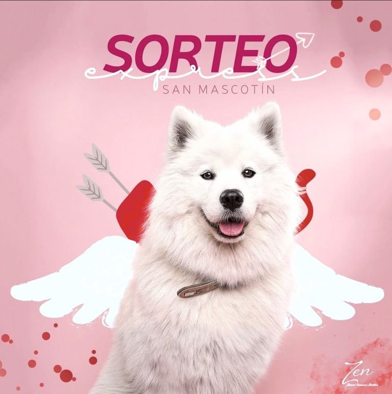 campañas de sorteo para marcas en social media