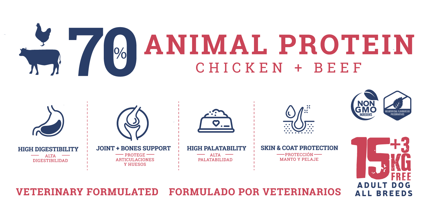 infografia para diseño de producto alimento mascotas