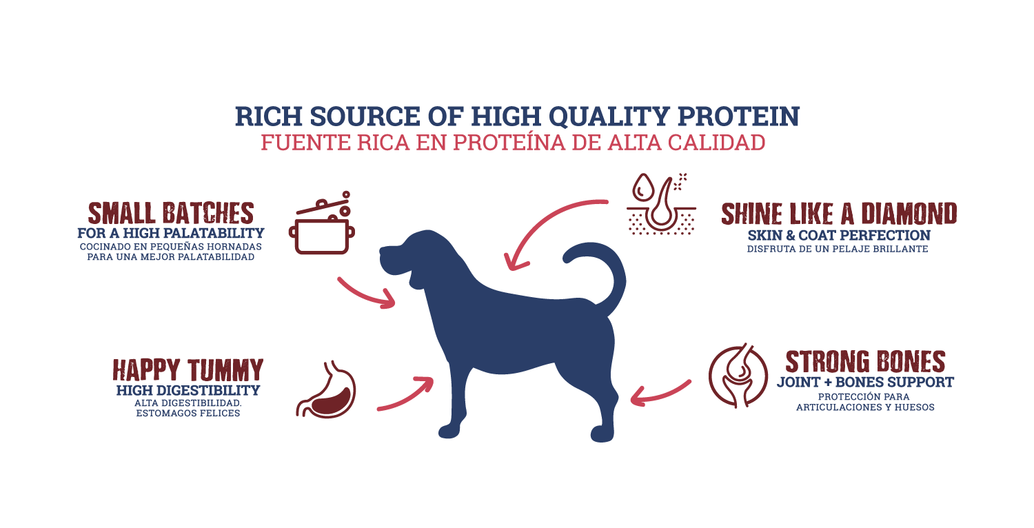 infografia para diseño de producto alimento mascotas