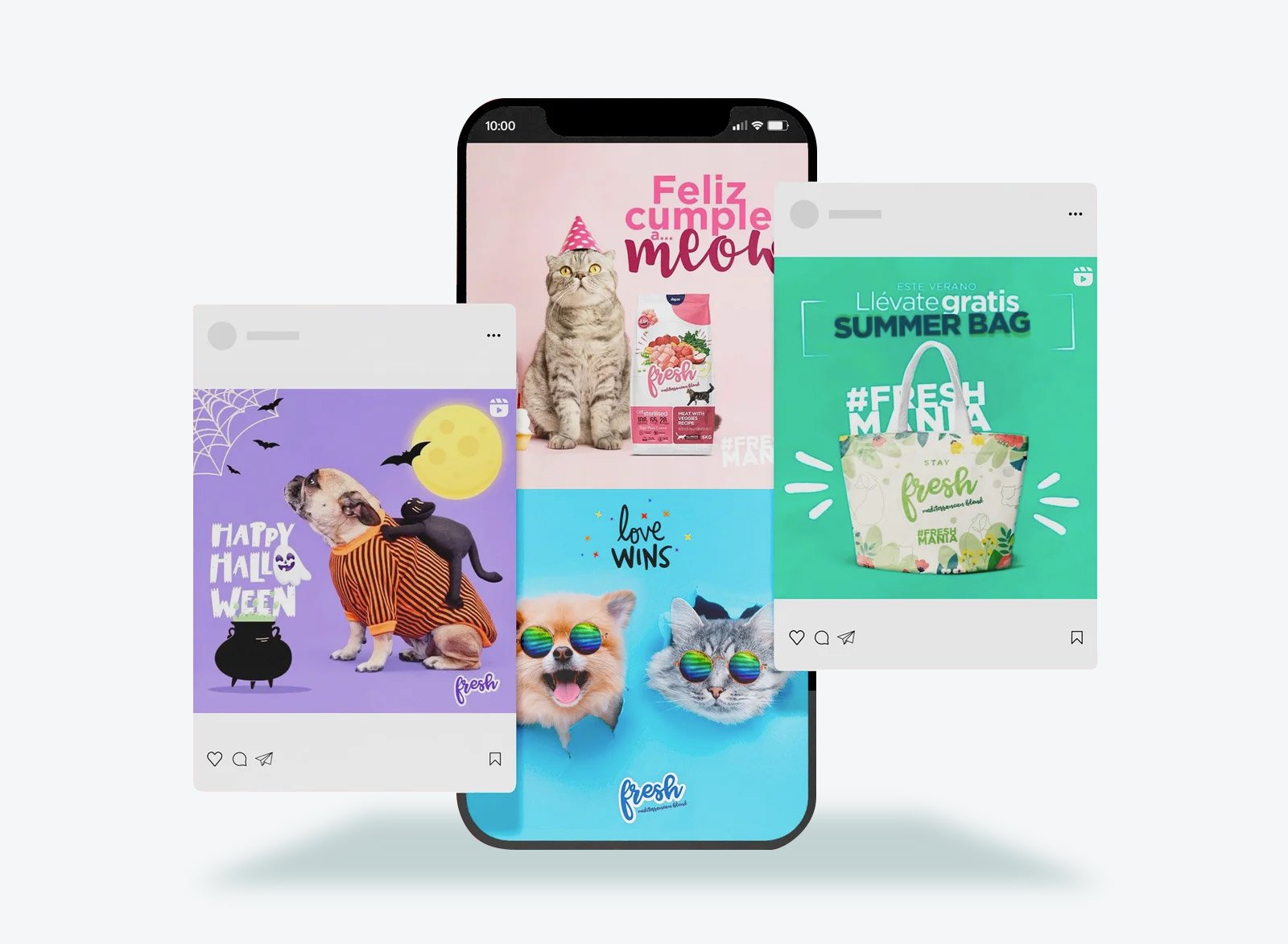 diseño gráfico del feed de publicaciones instagram diseño de las publicaciones de contenido de marca para cuidados de las mascotas