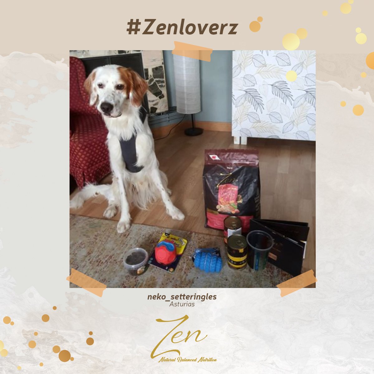 concurso promocion regalos ganador