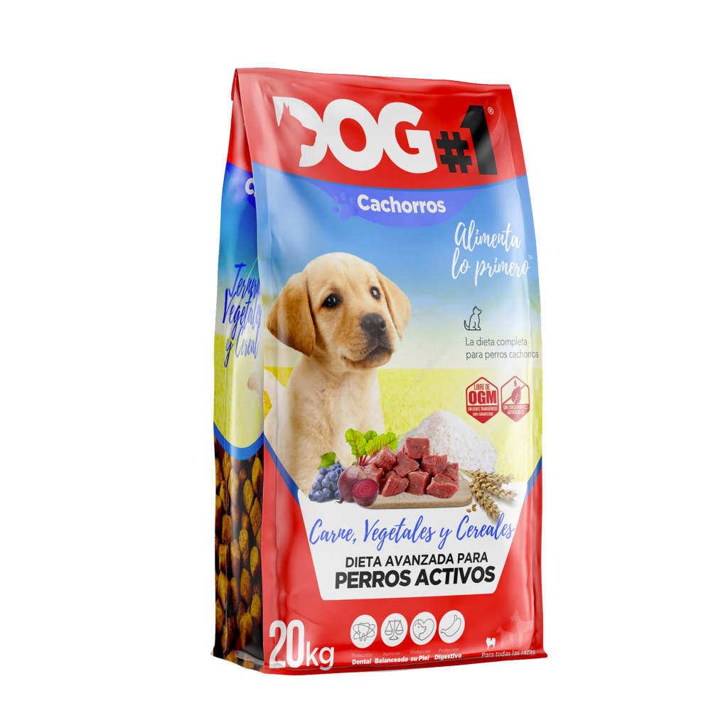 diseño del saco de DOG#1 arte final y mockup