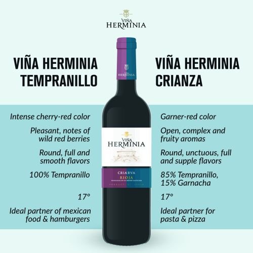 diseño de paquete de infografias para publicaciones