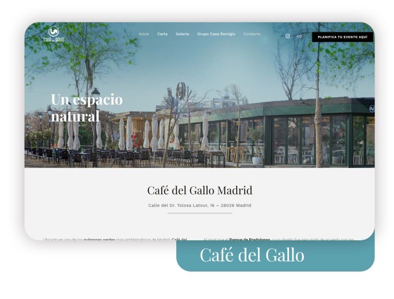 Desarrolladores de webs a medida en Madrid.
