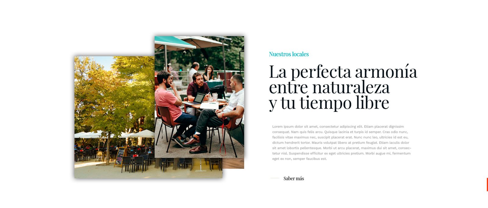 Especialistas en diseño de webs interactivas en Madrid.