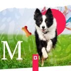 Los Millennials Gastan Más en sus Mascotas: Oportunidades para Marcas Premium