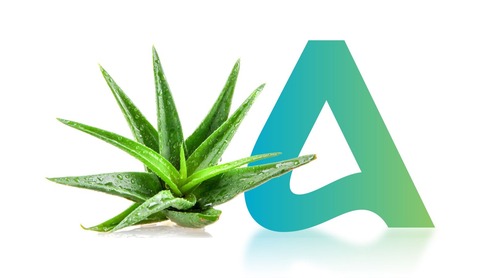 Banners promocionales con estilo coherente para tienda online de cosmética.