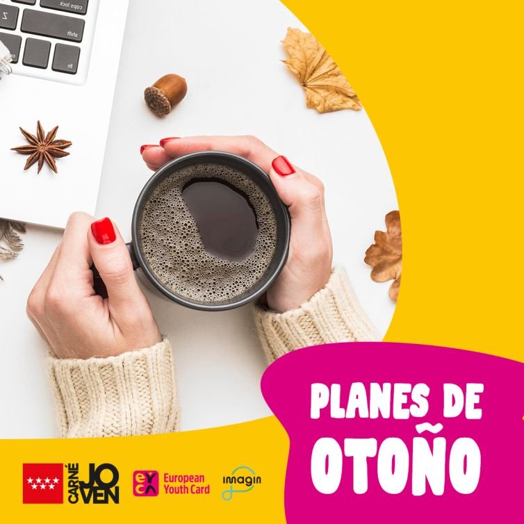 Diseño gráfico adaptado a los formatos de historias en Instagram y Facebook.