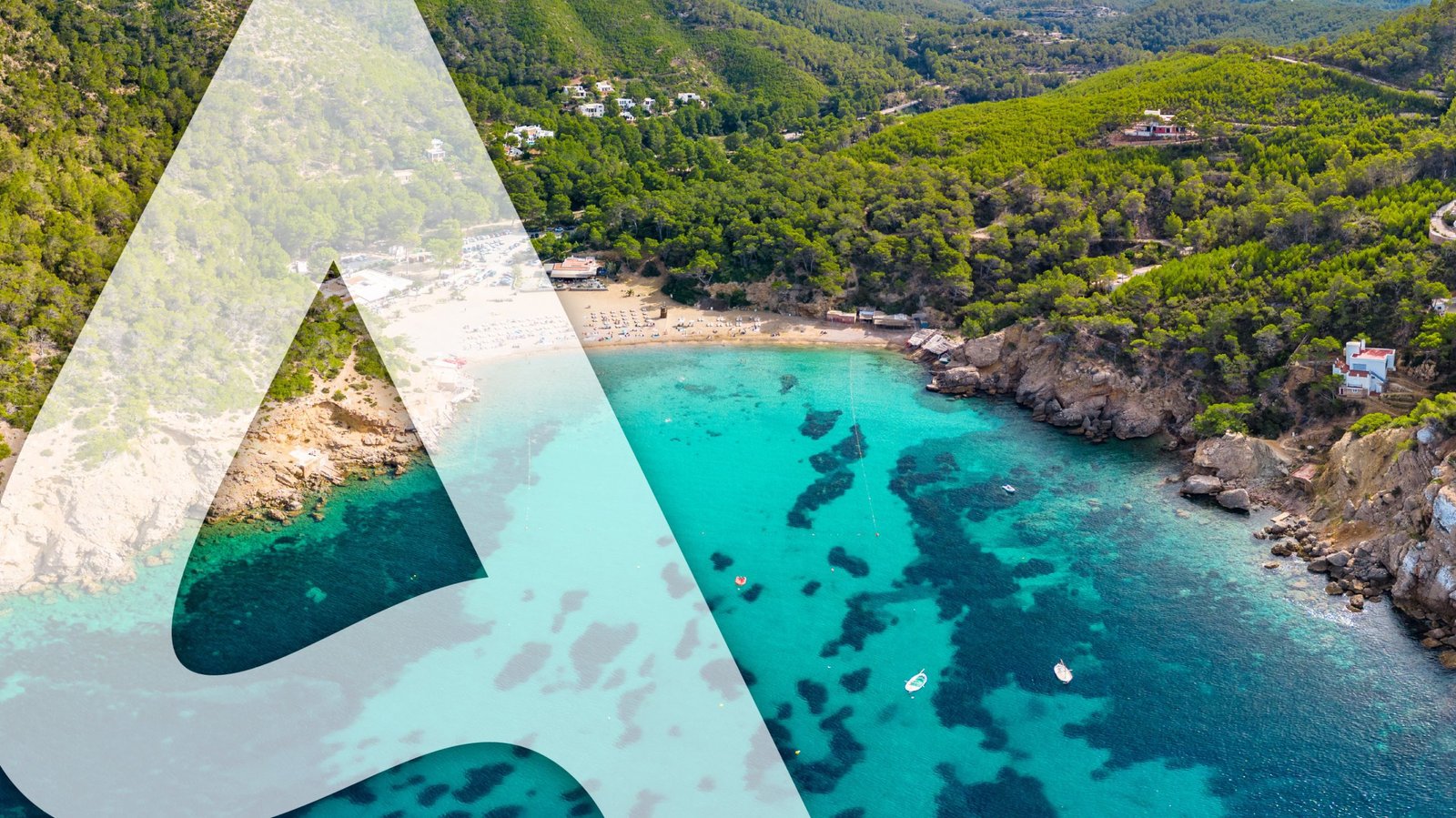 Paleta de colores corporativos para marca de cosmética: tonalidades suaves y naturales.