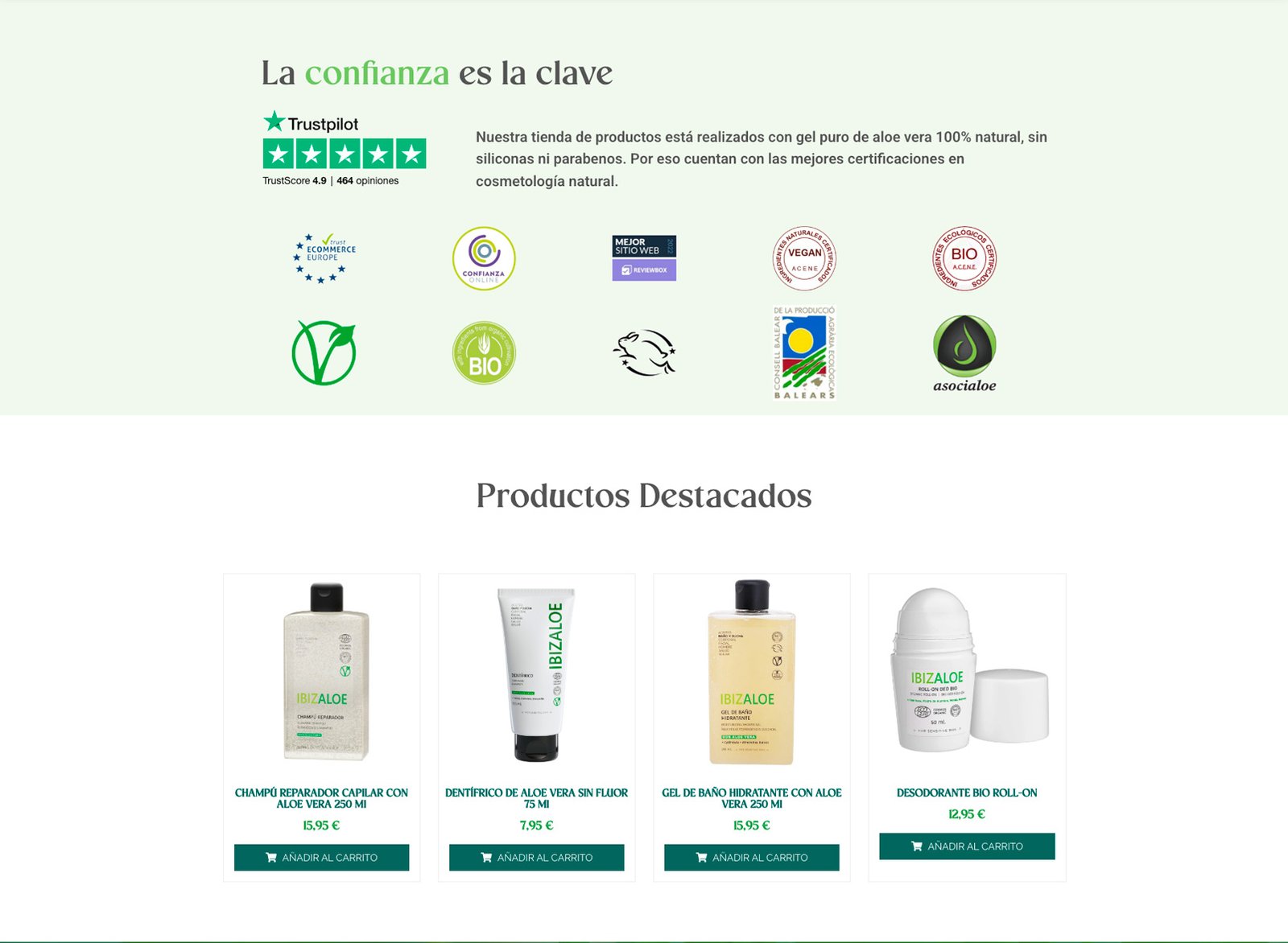 Cómo una Auditoría Web Cambió el Destino de IbizaLoe