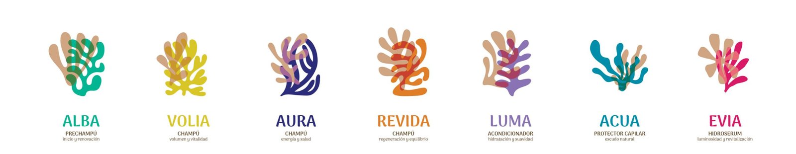 Proceso creativo de Brandesign para desarrollar el nuevo sistema gráfico de envases cosméticos NHC.