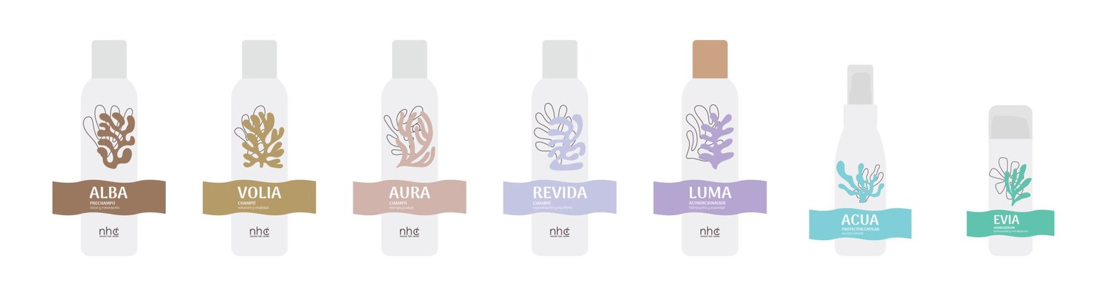 Propuesta visual inspirada en figuras orgánicas tipo Matisse para el diseño de etiquetas NHC.